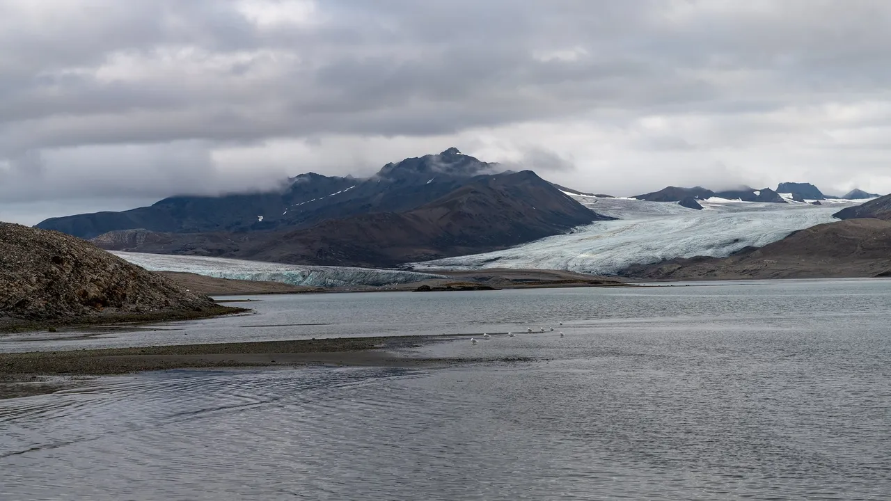 A calm bay with two glaciers flowing down from dark mountains under a cloudy sky